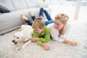 area rug cleaning