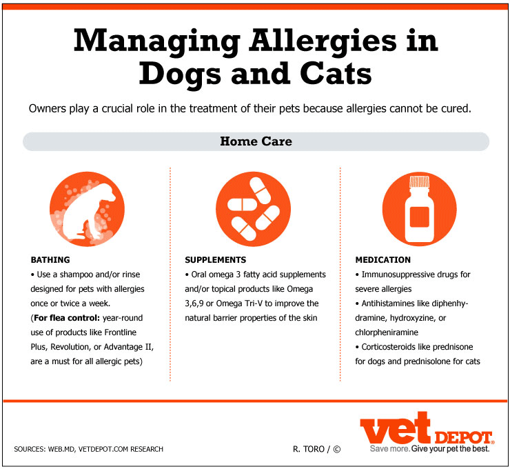 managing-pet-allergies-1