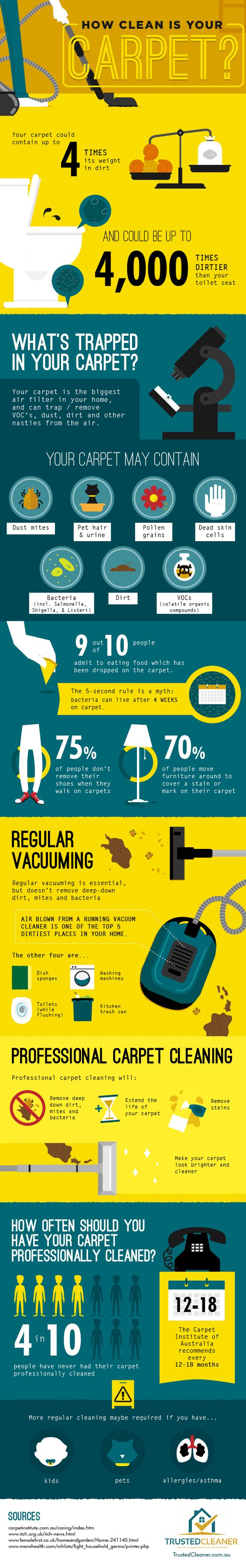rug and carpet cleaning infographic