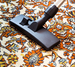 Other Rug Cleaning Services